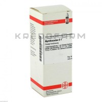 Миртиллокактус ● Myrtillocactus