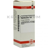 Миртиллокактус ● Myrtillocactus