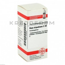 Нажа Трипудіанс ● Naja Tripudians