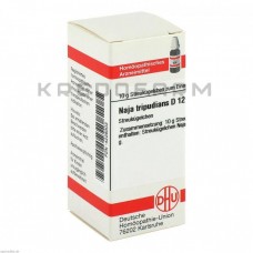 Нажа Трипудіанс ● Naja Tripudians