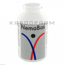 Немабас ● Nemabas