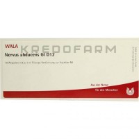 Нервус Абдуценс ● Nervus Abducens