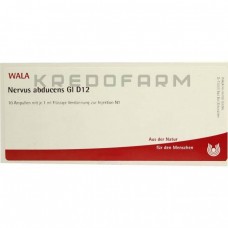 Нервус Абдуценс ● Nervus Abducens