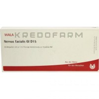 Нервус Фациалис ● Nervus Facialis