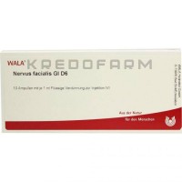 Нервус Фациалис ● Nervus Facialis