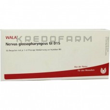 Нервус Глоссофарингеус ● Nervus Glossopharyngeus