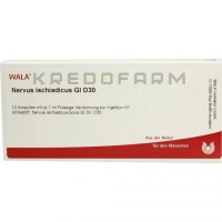 Нервус Ішіадікус ● Nervus Ischiadicus