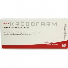 Нервус Ішіадікус ● Nervus Ischiadicus