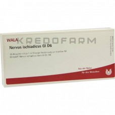 Нервус Ішіадікус ● Nervus Ischiadicus