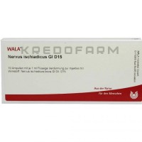 Нервус Ішіадікус ● Nervus Ischiadicus