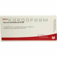 Нервус Ішіадікус ● Nervus Ischiadicus