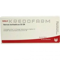 Нервус Ішіадікус ● Nervus Ischiadicus