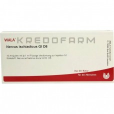 Нервус Ішіадікус ● Nervus Ischiadicus