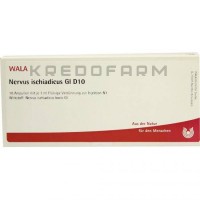 Нервус Ішіадікус ● Nervus Ischiadicus