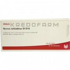 Нервус Ішіадікус ● Nervus Ischiadicus