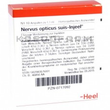 Нервус Оптикус ● Nervus Opticus