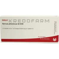 Нервус Френикус ● Nervus Phrenicus