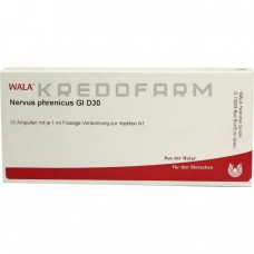 Нервус Френікус ● Nervus Phrenicus