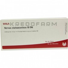 Нервус Статоакустикус ● Nervus Statoacusticus