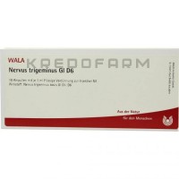 Нервус Тригеминус ● Nervus Trigeminus