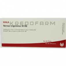 Нервус Тригемінус ● Nervus Trigeminus