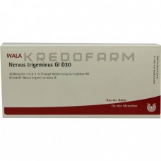 Нервус Тригемінус ● Nervus Trigeminus