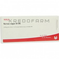 Нервус Вагус ● Nervus Vagus