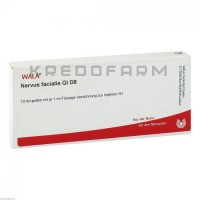 Нервус Вагус ● Nervus Vagus