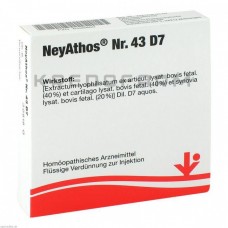 Нейатос ● Neyathos