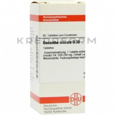 Енанте Кроката ● Oenanthe Crocata