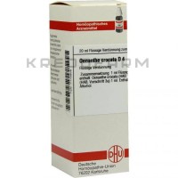 Энанте Кроката ● Oenanthe Crocata