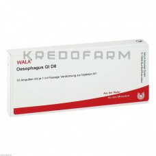 Езофагус ● Oesophagus