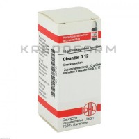 Олеандер ● Oleander