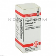 Олеандер ● Oleander