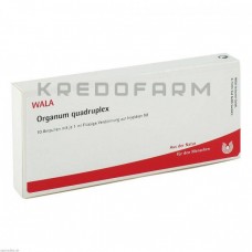 Органум ● Organum