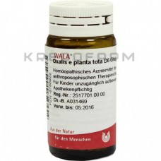 Оксаліс ● Oxalis