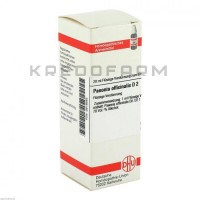 Пеонія Оффіциналіс ● Paeonia Officinalis