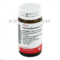 Панкреас Еквізетум ● Pancreas Equisetum