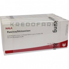 Панкреас Метеорейзен ● Pancreas Meteoreisen