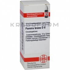 Парейра Брава ● Pareira Brava