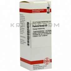 Парейра Брава ● Pareira Brava