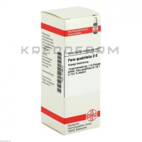 Паріс Квадріфоліа ● Paris Quadrifolia