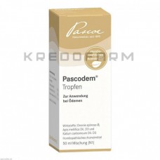 Паскодем ● Pascodem