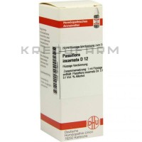 Пасифлора Інкарната ● Passiflora Incarnata