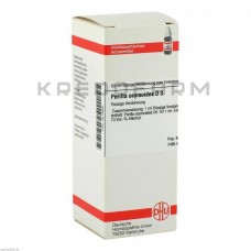 Перилла Оцимоідес ● Perilla Ocymoides