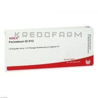 Периостеум ● Periosteum