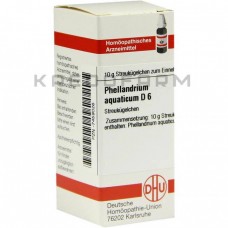 Фелландріум Акватикум ● Phellandrium Aquaticum