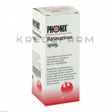 Фенікс Розмаринус ● Phönix Rosmarinus