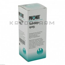 Фенікс Солідаго ● Phönix Solidago