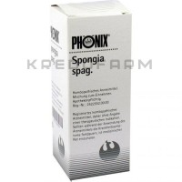 Фенікс Спонгія ● Phönix Spongia